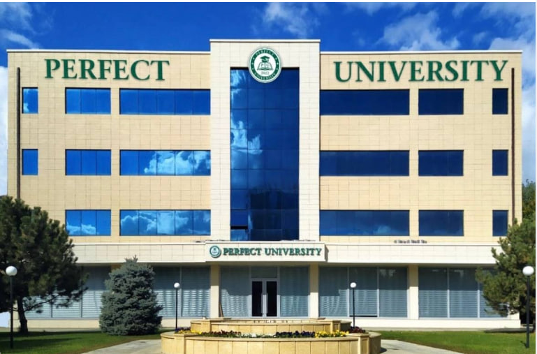 Perfect University - Rank.uz